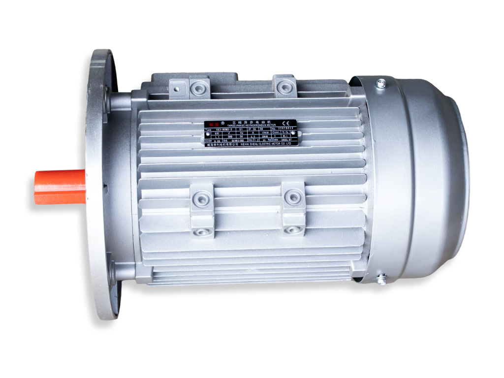 YE3-80M2-2